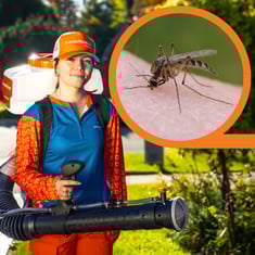 Shopify-Mosquito