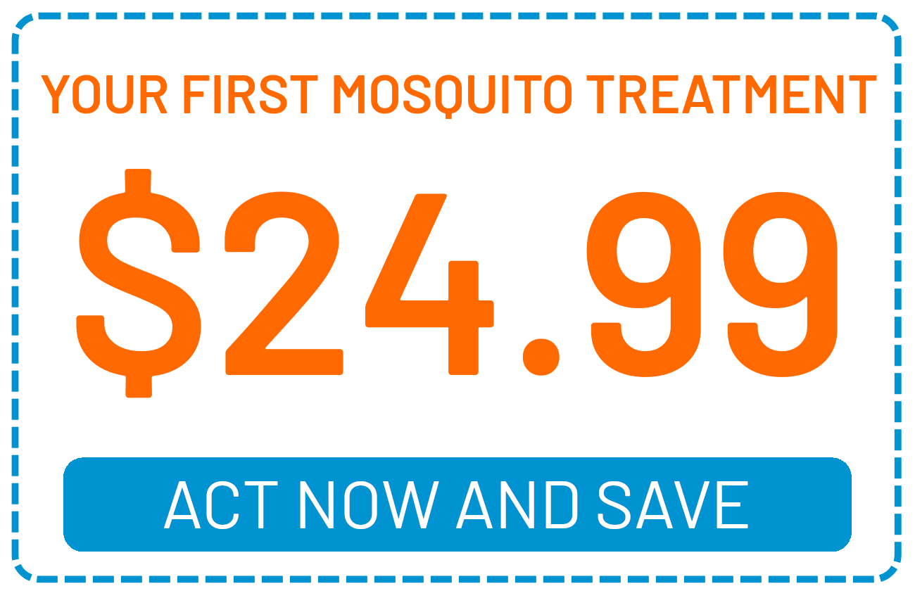 MB_SPRING_2025_Coupon